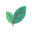 Icon of program: 브랜치스 Branches