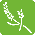 Icono de programa: Guia de Aromaterapia