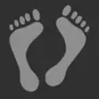 Icon of program: Foot Count