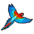 Icon of program: Birdistry
