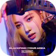 Icono de programa: Rose wallpaper : HD Wallp…