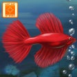 Icon of program: Fish Tycoon Lite