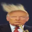 Icon of program: Donald Trumpet