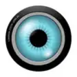 Icon of program: Fish Eye Camera Pro - Fis…