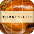 Icon of program: Turkey iCue