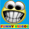 Icono de programa: Funny Videos For Tik Tok,…