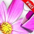 Icon of program: Sketch Agent Pro