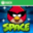 Icon of program: Angry Birds Space For Win…
