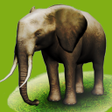 Icon of program: REAL ANIMALS HD