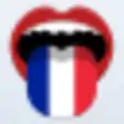 Icon of program: Learn French Phrasebook P…