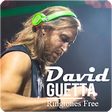 Icono de programa: David Guetta - Ringtones …