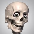 Icon of program: Skelly - Poseable Anatomy…