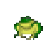 Toad for Oracle icon