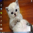 Icono de programa: WallpaperFlickr
