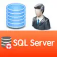 Icon of program: SQL Server Manager