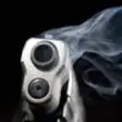 Icon of program: Pistol Guns Shot for CS