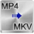 Icon of program: Free MP4 to MKV Converter