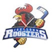 Icon of program: Iserlohn Roosters GmbH