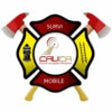 Icon of program: SURVI-Mobile