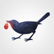 Icon of program: Strawberry Thief