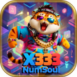 Icon of program: x333 NumSoul