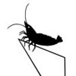 Icon of program: FertCalc - Aquarium Ferti…