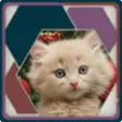 Icon of program: HexSaw - Kittens