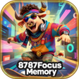 Icon of program: 8787Focus Memory