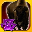 Icon of program: -888- King Buffalo Slots