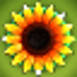 Icono de programa: Sunshine Acres