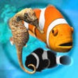 Icon of program: Fish Farm