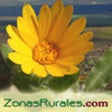 Icon of program: Casas Rurales en Zonas Ru…