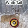Icon of program: Real Whitetail Hunting Ca…