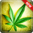 Icono de programa: Weed Wallpapers