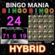 Icon of program: BINGO MANIA The Hybrid