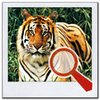 Icon of program: Find it 2 Find the Differ…