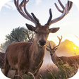 Icon of program: WiFi Hunting Camera