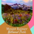 Icon of program: Mount Rainier