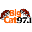 Icon of program: Big Cat 97.1 WLDX