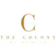 Icon of program: The Colony by Infinitum