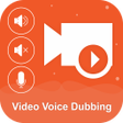 Icon of program: Video Voice Dubbing