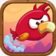 Icon of program: Game of Birds: Tropical D…