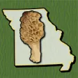 Icon of program: Missouri Mushroom Forager…