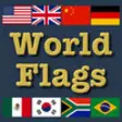 Icon of program: World Flag Matching Game