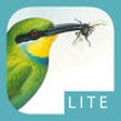 Icon of program: Sasol eBirds of Southern …