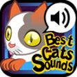 Icon of program: The Best Cats Sounds
