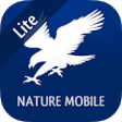 Icon of program: iKnow Birds 2 LITE - USA …