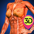 Icon of program: Female Anatomy : Woman Bo…