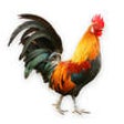 Icon of program: Baby Farm HD - Animal Sou…