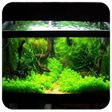 Icono de programa: Aquarium Aquascape Design